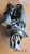 Import engine parts Auto 38Mt Starter Motor 237-1962 from China