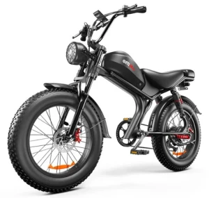 EU Stock Nino C93 Electric Bike 48V 20AH 750w Motor Power Ebike 50KM/H Max Speed 20inch 4.0 Fat Tire Electric Bicycle 150KG Load