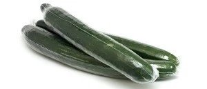 Export Quality Fresh Cucumber from Pakistan