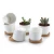 Import Factory morden round shape succulents ceramic flower pot indoor decor porcelain plant pot from China