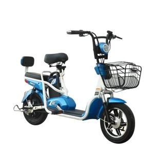 Factory price 48v 12ah electric bicycle 2022 fat e bike