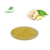 Factory supply TOP quality Natural water soluble Ginger Root extract