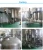 Factory Supply Top Vegetable Extract Organic Spinach Powder
