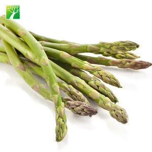 Farm supply 8inches fruit size vegetable seeds Asparagus officinalis Asparagus Seeds