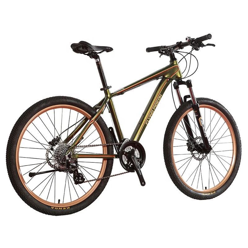 Flying Pigeon 24speed Castro Style mountain bicycle (FP-AMTB18004)
