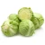 Import Fresh Cabbage Good Quality from Vietnam from Vietnam