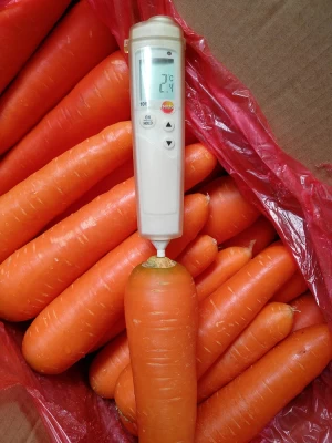 fresh carrots,carrot,red carot,vegetable