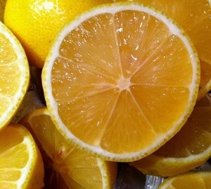 Fresh Citrus Fruits /Yellow Lemon & Green Lime, Yellow Eureka Fresh Lemon.