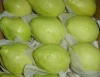 Fresh Guava top quality for cheap price