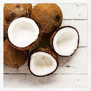 Fresh mature coconut