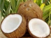 Fresh matured husked coconut from Africa-Natural