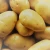 Import Fresh Potatoes from Ukraine