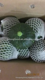 fresh pumpkin(chinese)