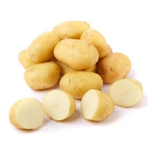 Fresh Quality Potatoes Whole Types