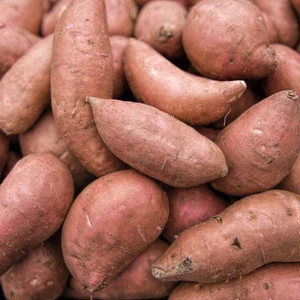 Fresh Sweet Potato / Sweet Potatoes / Potatoes