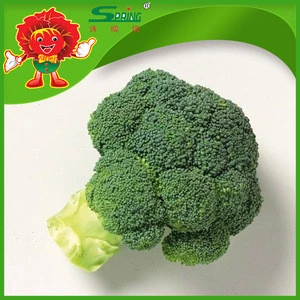 frozen broccoli farm selling cheap price fresh broccoli from China plastic broccoli