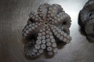 Frozen Octopus for sale