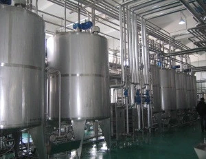 Full Automatic 2000L Dairy Processing Line For Milk Yogurt Butter Cream And Cheese