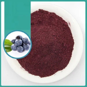FYFD017P Health products 60mesh fruit powder Freeze-dried blueberry powder