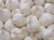 Import Garlic  New Oem Crop Style Weight Origin Type Product Fresh Place Haccp  Cultivation from China