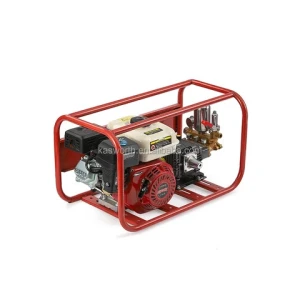 Gasoline Engine Spraying Pump Stretcher Type Motorized Sprayer