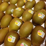 Golden kiwi fruits, Red Kiwi Rruits, Fresh Kiwi Fruits for sale
