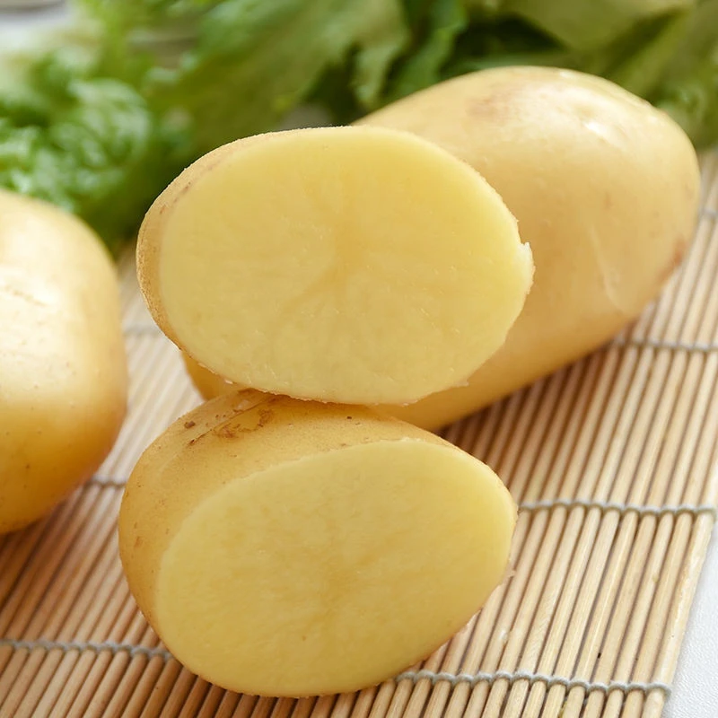 Good Quality Frozen Supplier 2020 Fresh Sweet Potato Prices
