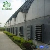 Good quality multi-span arch type PE film greenhouse with hydroponic system for agriculture