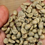 Grade A Cocoa/ Cacao/ Chocolate bean / Dried cacao Beans
