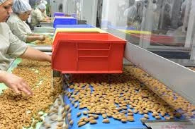 Health Tested Almond Nuts Available for Sale .