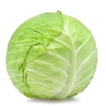 High & Best Quality Fresh Cabbages