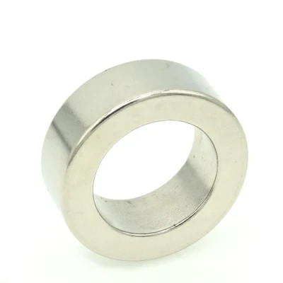 High Quality and Cheap Ring Neodymium Magnet for Speaker