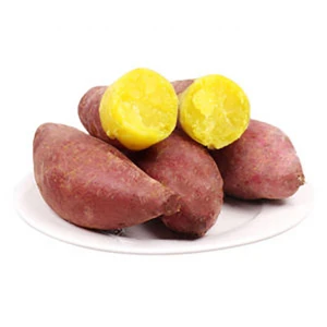 High quality fresh organic sweet potatoes for health