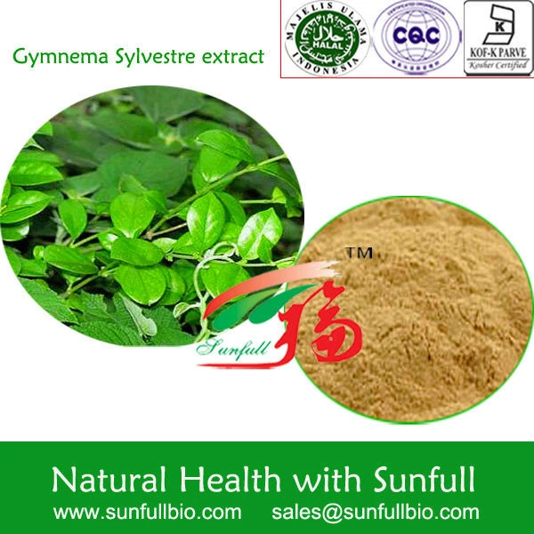 high quality Gymnema sylvestre extract in bulk