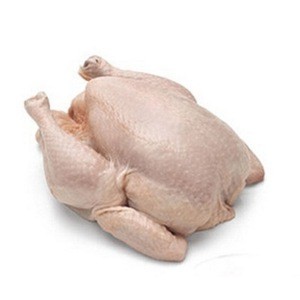 High Quality Halal Frozen Whole Chicken Wholesale Certified Frozen Whole Chicken for Sale