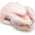 Import High Quality Halal Frozen Whole Chicken Wholesale Certified Frozen Whole Chicken for Sale from South Africa