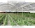 Import High Quality Modern Design Green House Greenhouse from China