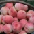 Import High Quality Peaches Wholesale Fresh Organic Fruit Importers from China