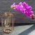 Import High Quality Small Cage Glass Vases in Rose Gold Metal Rack Flower Planter Terrariums Plant  Clear Vase Decorative Centerpiece from China