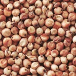 High Quality Sorghum Grain