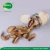 Import Hot Sale Sliced Price Dried Procini Mushroom Boletus Edulis from China