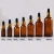 Import Hot sales 5 ml 10ml 15ml 20ml 30ml 50ml 100ml Amber glass pipette dropper essential oil bottle with European Dropper Cap from China