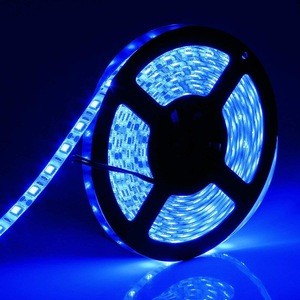 hot sales strip club led strip flex guangzhou factory Blue LED Flash Strip Outdoor Lighting LED 5050 uv led strip