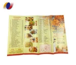 Hot sell delicate multicolor brochure accordion flyer printing