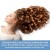Import Hot sell new product ginger hair growth shampoo for women hair fall treatment from China