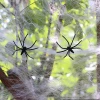Hot selling cute Halloween spider