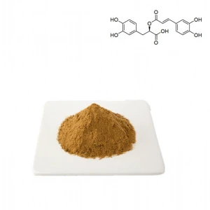 HPLC Pure Natural Preservatives Organic Rosemary Extract 5%-30% rosmarinic