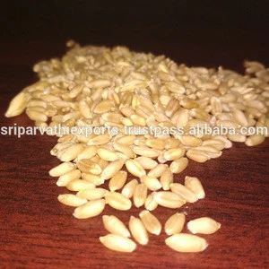 Indian First Quality Milling Wheat