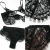 Import Ladies sexy fancy lingerie set visible lace bra panty French style underwear from China