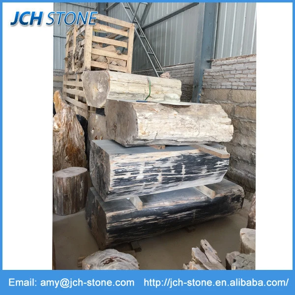 Landscaping stone fossil wood stone